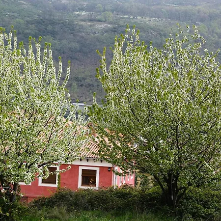 Hotel Rural Carlos I-3